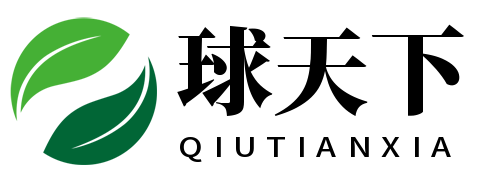 球天下